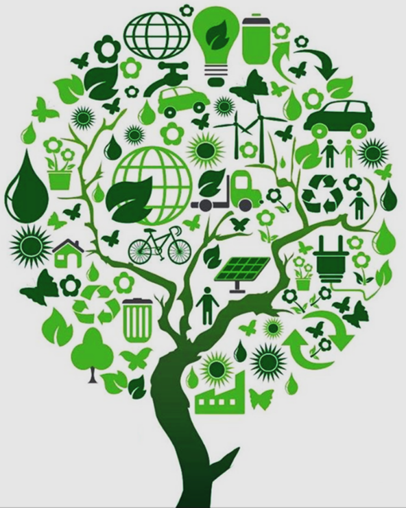 Εικόνα επιλογής